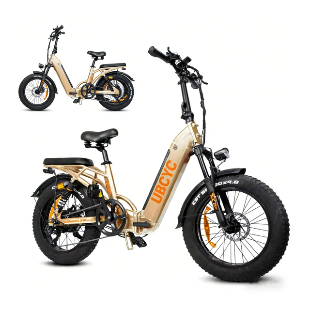 USA EU Warehouse Fat Tire Electric Bike 20inch 1000W Double Motor 30AH Battery Cheap Electric Dirt Bikes