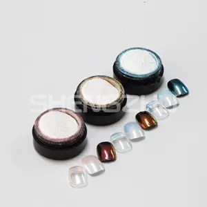 Shengzhu Zeemeermin Pigment Voor Nagel Super Populaire Kleuren Aurora Pigment Levendige Kleuren Voor Creatieve Nail Art En Ontwerpen