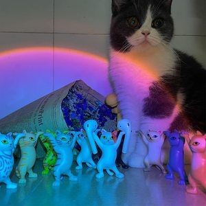 Creativo portalápices de gato ataúd de gatos bailarines Figuritas de gato bailarín Soporte de auriculares para AirPods 1/2/3 - Product Image 6