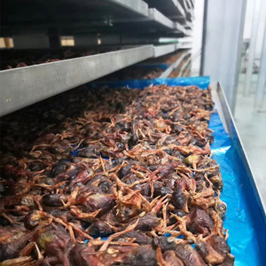 OEM Großhandel Bio Natural Pure Meat <span class=keywords><strong>Dog</strong></span> Chew Treats High Nutrition Bulk Pack Gefrier getrocknete Wachtel - Product Image 3