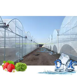 Best Verkopende Agrarische Po Pe Plastic Film Tunnel Kas Voor Groenteplanten