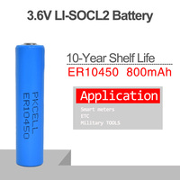 Batterie Aaa Er10450 Batterie au lithium 3.6v 800mah Li-SOCL2 Piles Aaa Er10450