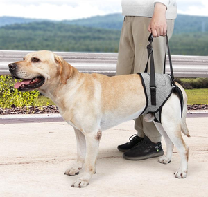 Harnais multifonctionnel simple en polyester pour chien, pour la marche assistée des personnes âgées, durable, pour la récupération, harnais de soutien réglable pour animaux de compagnie - Product Image 4