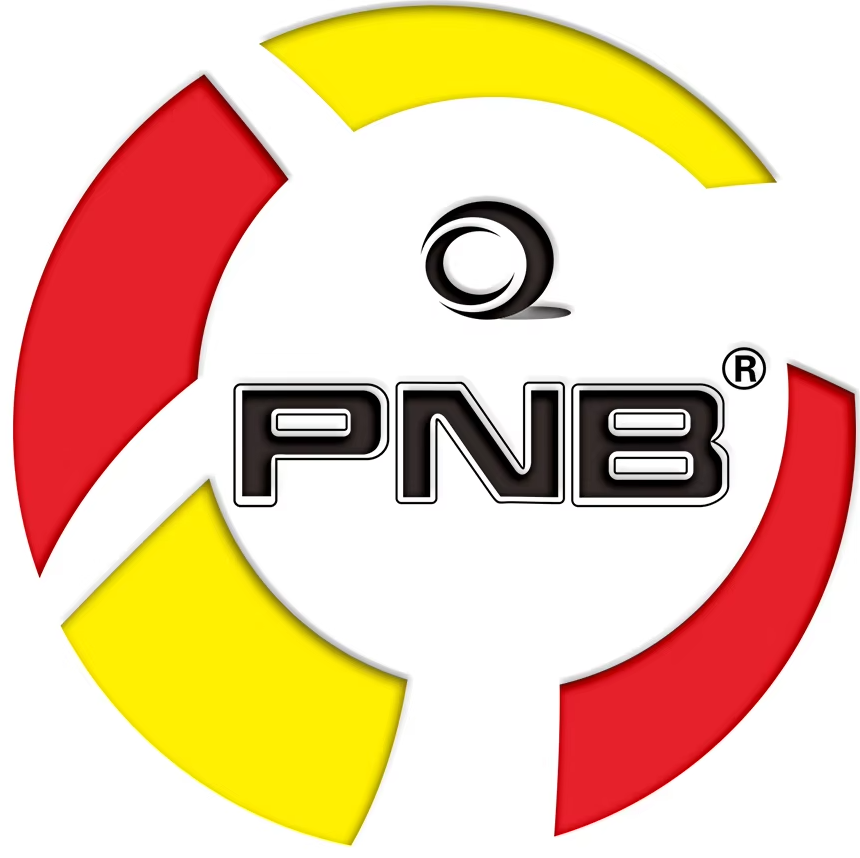 Precision Auto Innovations Inc logo