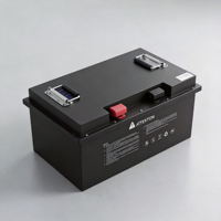 Batería de Litio de 12V 314Ah para Microredes BYOP en Centros de Datos con IA en América del Norte, en Oferta