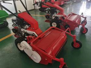 Hand Operated Push 9hp Wheel Lawn Mower Flail Mower - Product Image 2