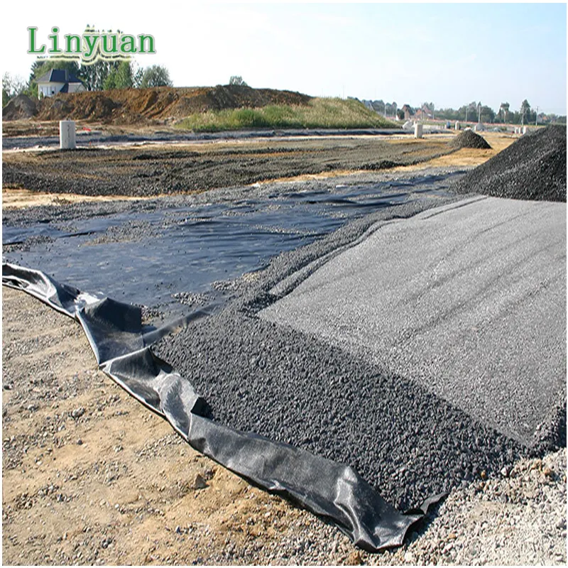 Professional Of High Quality Black Woven Polypropylene Geotextile