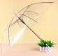 Ombrello Trasparente in Plastica a 8 Stecche, Apertura Manuale, Protezione da Sole e Pioggia, Design Minimalista, Misura Adulto, Ideale per Viaggi - Product Image 3
