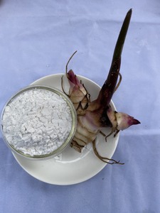 Harina de Almidón de Malanga de Vietnam de la Mejor Calidad, Polvo Blanco, Tipo Nativo - Product Image 3