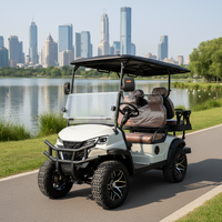 Voitures de golf électriques miniatures à prix compétitif pour le marché des Émirats arabes unis