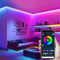 Tira de LED WS2812B de 60 LED/m, DC5V, Flexible, RGB, 16 Millones de Colores, DIY, Color de Ensueño, Regulable, 5 Metros, Direccionable Individualmente, con Control Remoto