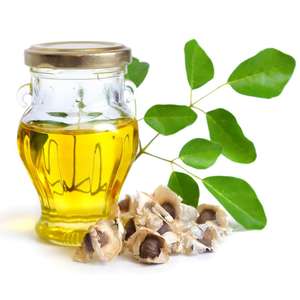 HL- Cold pressed Moringa oleifera minyak biji murni pemasok, 1kg, grosir minyak Moringa organik Virgin untuk wajah, Rambut & kulit | Tidak halus - Product Image 2