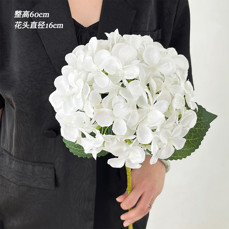 White single hydrangea