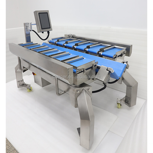 버섯, 냉동 생선, 채소용 결합형 스케일 벨트 계량기 계수기 - Product Image 5