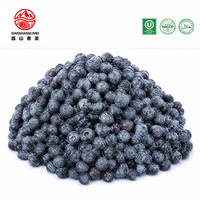 Blueberry Beku Grosir Utuh IQF Blueberry Liar Kualitas Premium untuk Pengolahan Makanan