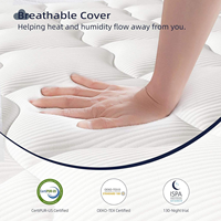 Échantillon Gratuit Usine Matelas Hôtelier Confort Royal en Latex Naturel Taille King Queen avec 7 Zones à Ressorts Ensachés et Mousse Éponge