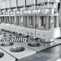 Machine de remplissage, scellage et emballage entièrement automatique à vis sans fin pour café moulu, capsules, thé en poudre, herbes et granulés - Prix usine