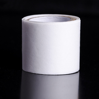 Vente en gros 3*100cm Couleur blanche Facile à appliquer Extension de l'ongle Réparation Auto-adhésif Outil Manucure Protection des ongles Enveloppement d'ongles en soie