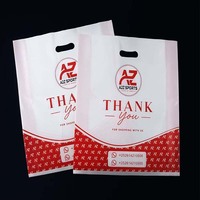 Sacchetti di Plastica Personalizzati con Logo, Produzione all'Ingrosso della Fabbrica Lefeng di Guangzhou, Sacchetti per Shopping e Imballaggio