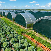 Groene HDPE schaduwnet 35%-95% schaduwgraad 3x50m UV-bestendig voor kas, boerderij, tuin, planten, zonwering