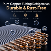 Lemari Pendingin Bir Satu Pintu dengan Refrigeran R290 Hemat Energi, Daya Dapat Diatur (500W/1500W), Rentang Suhu 10-15C