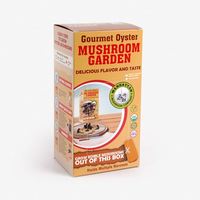 Boîte de rangement en carton recyclable personnalisée avec impression offset et gaufrage, doublure en éponge, kit de culture de champignons