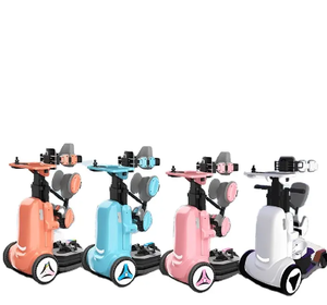 Directo de fábrica, gran oferta, motocicletas eléctricas, <span class=keywords><strong>silla</strong></span> de ruedas eléctrica de pie <span class=keywords><strong>para</strong></span> <span class=keywords><strong>discapacitados</strong></span>, herramienta auxiliar <span class=keywords><strong>para</strong></span> caminar, <span class=keywords><strong>silla</strong></span> de elevación - Product Image 6