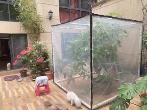 Bâche en PVC imperméable <span class=keywords><strong>pour</strong></span> l'agriculture transfrontalière, bâche transparente épaisse <span class=keywords><strong>pour</strong></span> l'isolation de la viande - Product Image 4