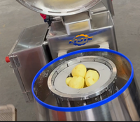 LIJIE Multifunctionele Premium Aardappelchips Fruit- en Groentesnijder 2.5KW SUS304 Efficiënte Snijmachine Motor Kern
