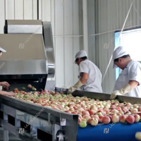 Productielijn voor fruit-sap, jam en concentraat van hoge kwaliteit, 1-60 ton per uur, voor perzik/abrikoos/pruim.