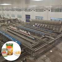 Pasteurisateur professionnel LWT entièrement automatique multifonctionnel de haute qualité pour ligne de production de champignons en conserve, échangeur de chaleur pour chocolat et bonbons