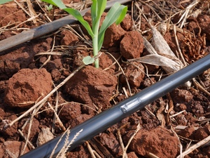 Drip Tape 16mm 20mm selang tetes plastik untuk sistem irigasi kebun pertanian - Product Image 5