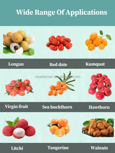 Máquina clasificadora <span class=keywords><strong>de</strong></span> frutas y verduras para huerto, equipo <span class=keywords><strong>de</strong></span> cribado <span class=keywords><strong>de</strong></span> frutas, clasificadora <span class=keywords><strong>de</strong></span> cebollas y clasificadora <span class=keywords><strong>de</strong></span> tamaño - Product Image 5