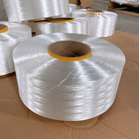 Factory Wholesale 300d 600d 900d 450d 850d Offered Polypropylene Yarn for Extruder Machine Making Yarn