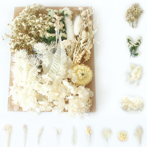 Vente en gros <span class=keywords><strong>pas</strong></span> <span class=keywords><strong>cher</strong></span> prix Nail Art cadre photo bricolage fleurs sèches matériel sac vraies fleurs séchées naturelles pour la fabrication <span class=keywords><strong>de</strong></span> bougies parfumées - Product Image 5