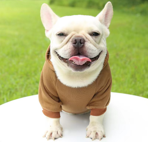 Casual Sporty Style Warm Puppy Dog Cloth Thickened Soft Solid Color Pet Hoodies