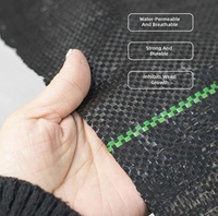 Tapis de contrôle des adventices en tissu non tissé PE durable, biodégradable, noir, perméable et respirant YOU NONG CTFCB-02 Shandong