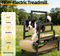 Peralatan Olahraga Treadmill Anjing HOT 2026, Lipat, Indoor & Outdoor