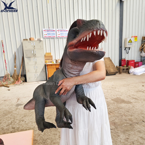 Haichuan tùy chỉnh thực hiện đầy đủ cơ thể thực tế khủng long cánh tay con rối mô phỏng cao animatronic bé khủng long con rối nhấp nháy với âm thanh - Product Image 3