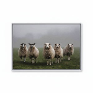 Elegant Sheep Print Canvas Art, Farmhouse Decor, <b>Black</b> <b>Frame</b>,WHITE FRAMED CANVAS - Product Image 2