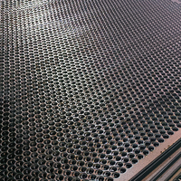 Maille métallique noire durable de qualité supérieure, tissée, perforée, avec services de découpe et de pliage pour des performances améliorées