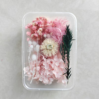 Bunga kering hydrangea, bunga kering alami DIY untuk resin dan pembuatan lilin