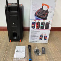 Altavoz Karaoke Portátil Inalámbrico con Ruedas NDR-1095 con Woofer Doble de 8 Pulgadas, Micrófono Inalámbrico, para Fiestas, Escenarios, BT, Alta Potencia, DJ