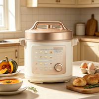 Cuisinière électrique à pression 5L 1000W, pot antiadhésif, multifonction, meilleur prix