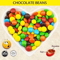 Suikerpoeder bedekte chocolade jelly bean met krokante schaal, fruit smaak, speelgoeddesign, ISO/HACCP gecertificeerd, aanpasbaar, groothandel in bulk
