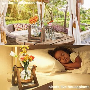 Estaciones de Propagación de Plantas de Escritorio, Terrario con Soporte de Madera, Regalo para Amantes de las Plantas, Macetas de Vidrio para Decoración de Bodas - Product Image 2