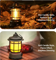 Lampes de camping explosives avec effet de flamme ambiante, lumière portable d'extérieur pour tentes, design rétro de cheval, alimentées par batterie, LED 5W