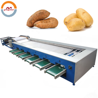 Automatic Potato Size Grading Sorting Machine