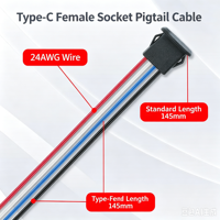 Câble de prise femelle Type-C LN-001 Plug & Play, connecteur de prise USB-C durable et étanche pour la charge et la transmission de données