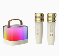 Cadeau d'entreprise promotionnel, solaire portable, alimenté par DC 6, pour haut-parleur V2.0, autonomie de la batterie de 15 à 20 heures, LED RVB, support de téléphone, radio FM
